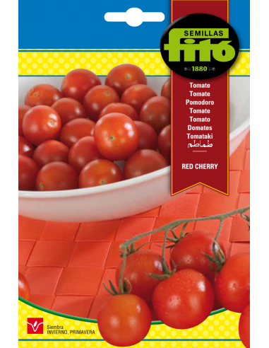 TOMATE RED CHERRY SUPERBOL