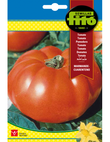 Tomato Marmande - Cuarenteno (3 g)
