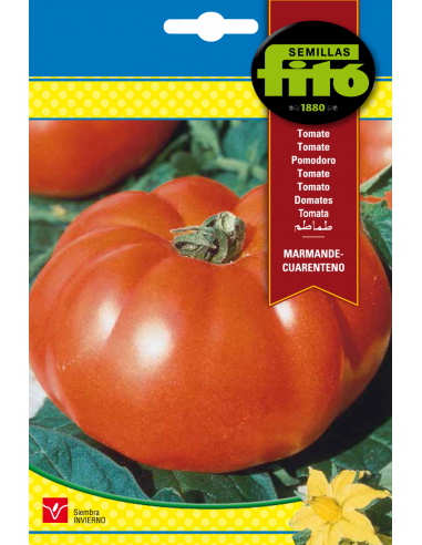 TOMATE MARMANDE - CUARENTENO SUPERBOL