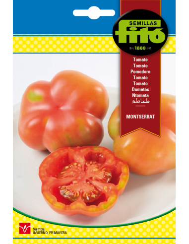 Tomato Montserrat (100 seeds)