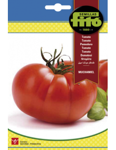 Tomato Muchamiel (2 g)