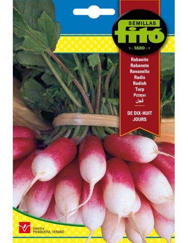 Radish De Dix - Huit Jours (20 g)