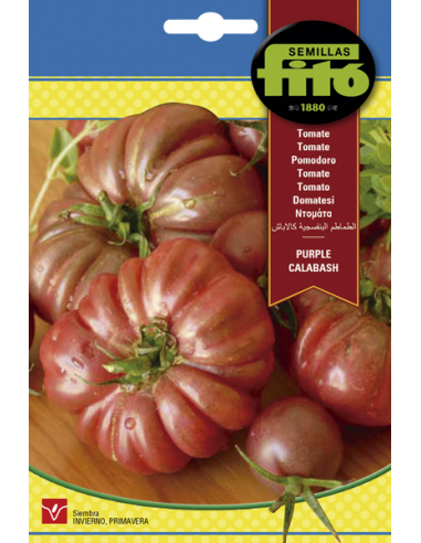Tomato Purple Calabash (100 semillas)