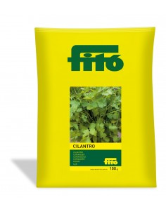 Cilantro (100 g)