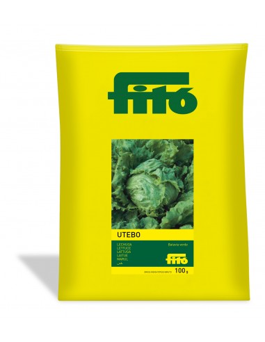 Lechuga Batavia Verde - Utebo (100 g)