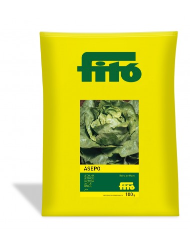 Lettuce Reina de Mayo - Asepo (100 g)