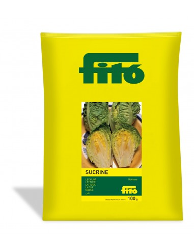 Lettuce Sucrine (100 g)
