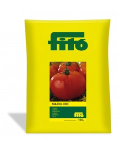 Tomato Marglobe (100 g)